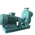 AQPP-900 Customized pumps