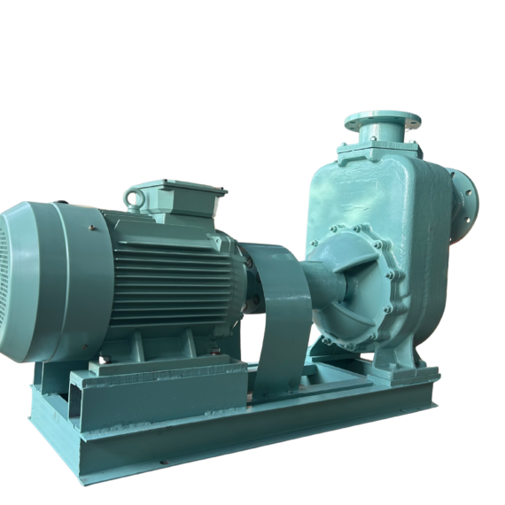 AQPP-900 Customized pumps