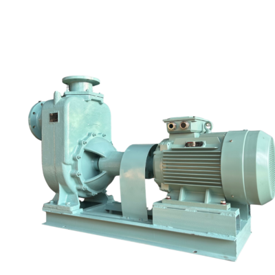 AQPP Customized pumps